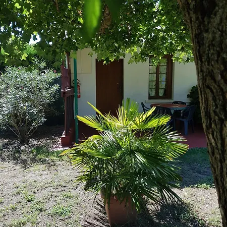 Apartment Perla